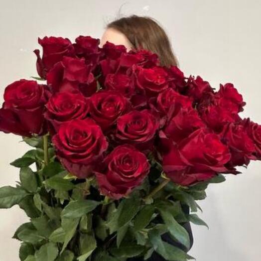 Розы 🌹