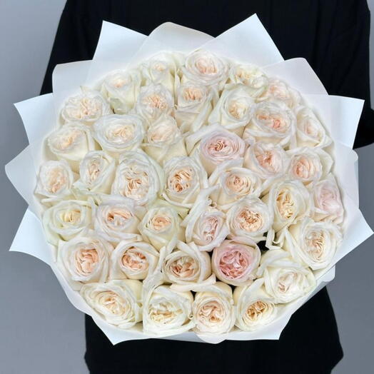 40 Ohara Roses