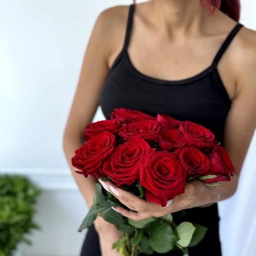 Rosa 11