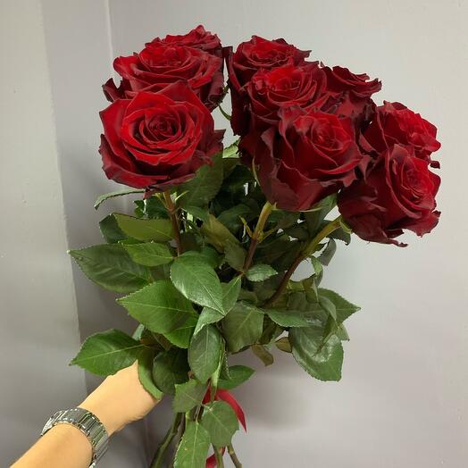 9 red Ecuadorian roses