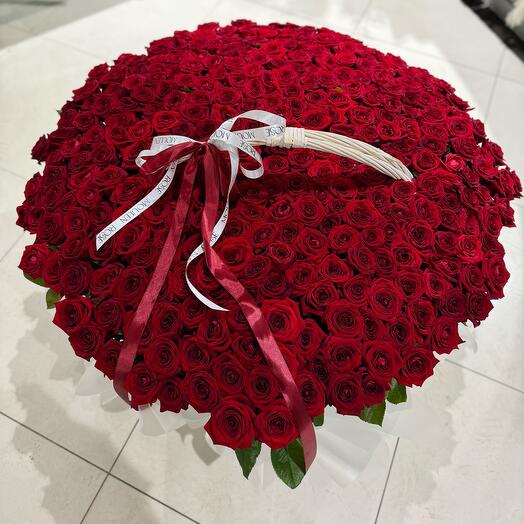Корзина из 301 розы ️