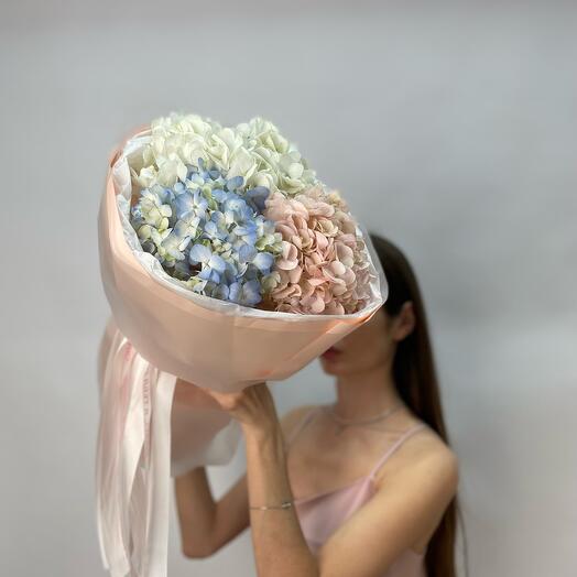 3 гортензии для Мамы🌸