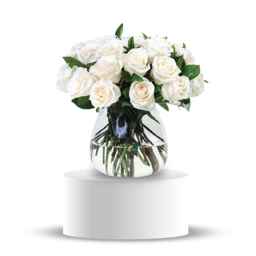 Classic 24 White Roses