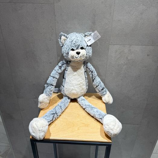 Кот длинные ноги номер 70