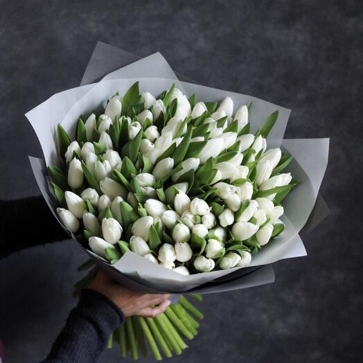 101 tulipán blanco