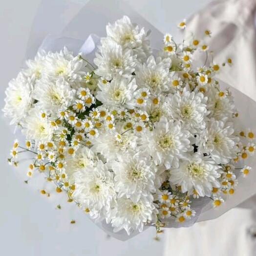 Танацетум5, хризантема4