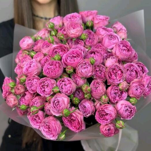 Очарование Misty Bubbles