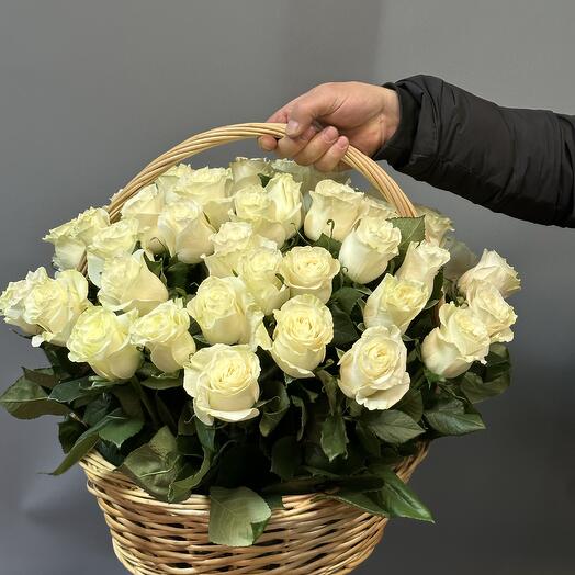 51 Роза мондиаль