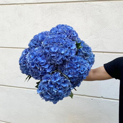 Ramo de Hortensia azules