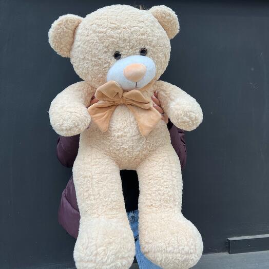 Teddy bear🐻