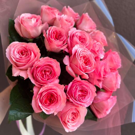 19 роз пинк экспрешн (моно)