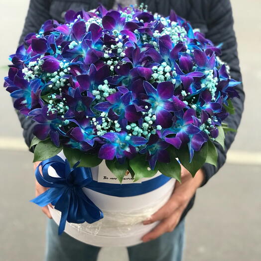 Синие космические орхидеи в коробке «Ты мой космос 💙»