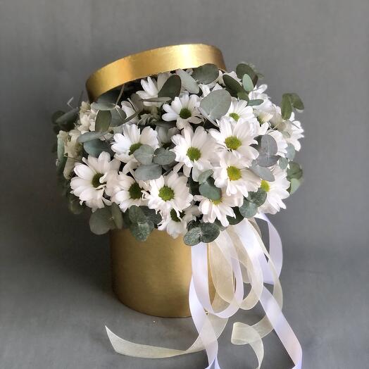 Ромашкам в коробке