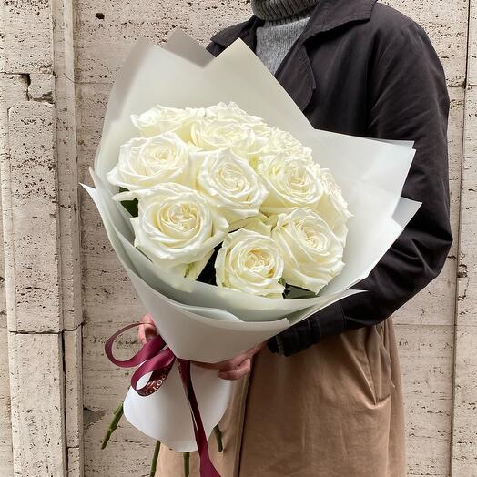 Playa blanka rose 11