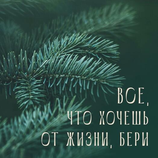 Все, что хочешь от жизни, бери. Электронный подарочный сертификат на Спа программу