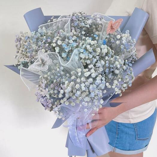 Bouquet of gypsophila