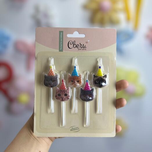 Набор свечей «Котики»