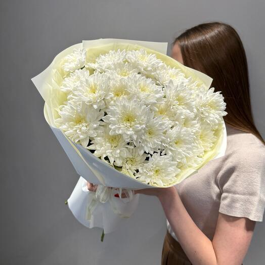 Хризантема 5 шт