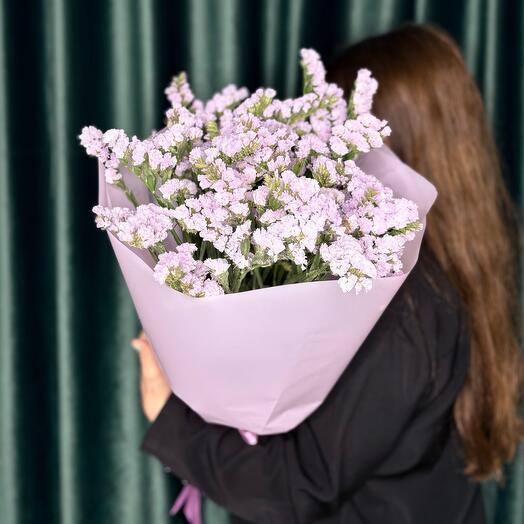Охапка статицы