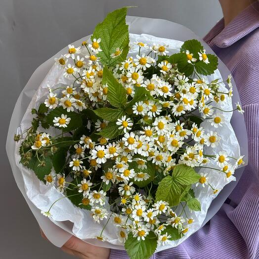 Кустовые ромашки и ветки малины