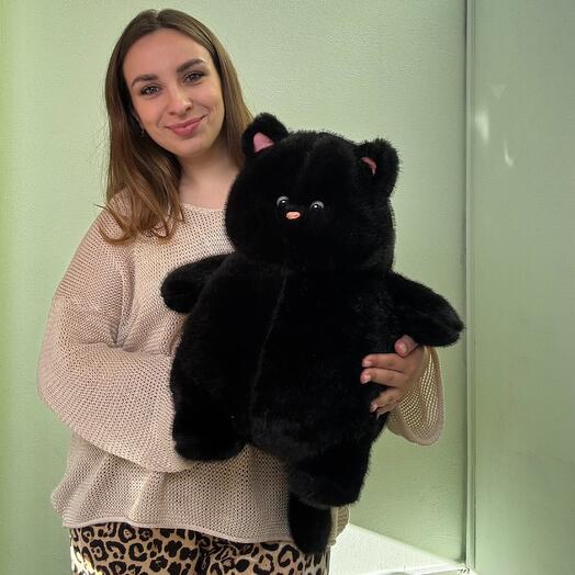 Кот Бегемот