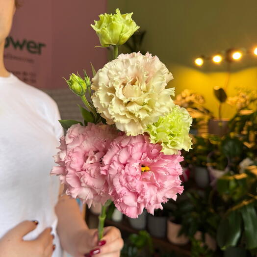 Рожева еустома