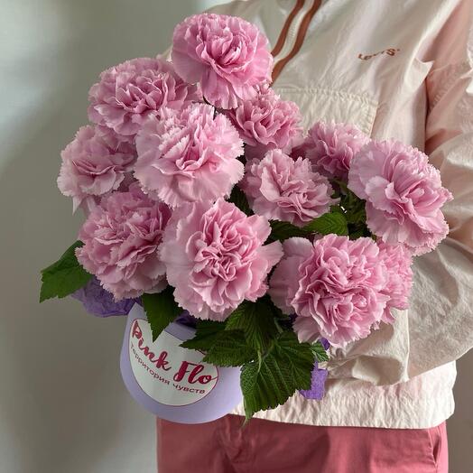 Стойкие диантусы и малина в шляпной коробке 🌸