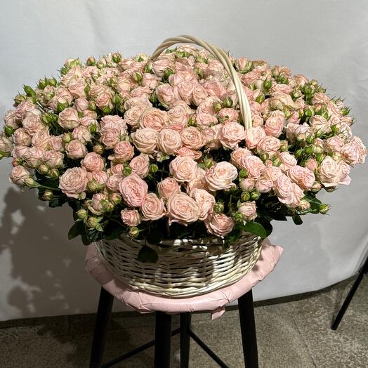 Корзина с цветами бомбастики