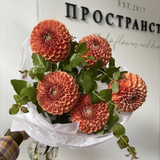 Моно из георгинов