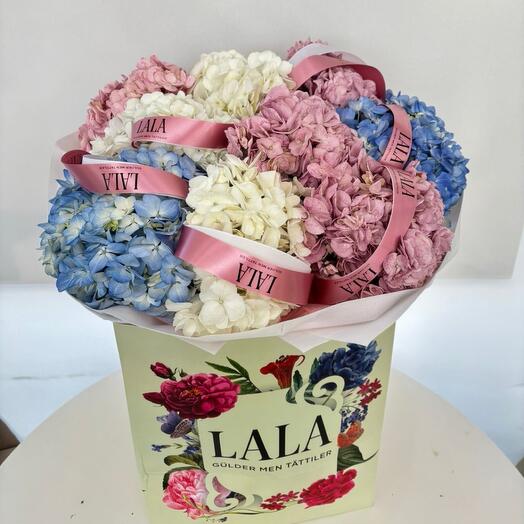 Букет Гортензия