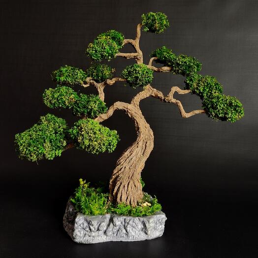 Бонсай из стабилизированного мха 🍀