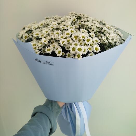 9 кустовых ромашек