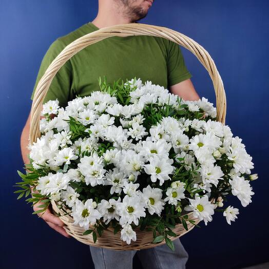 Большая корзина с ромашками