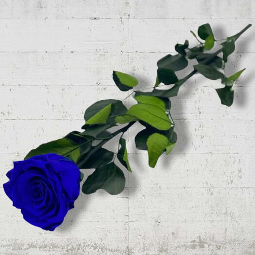 Blue Eternal Rose on a 50 cm Stem, unique birthday gift