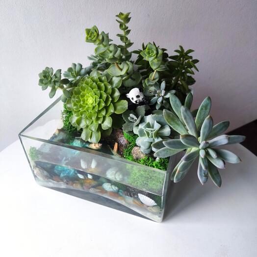 Флорариум 2, подарок для мамы, жены