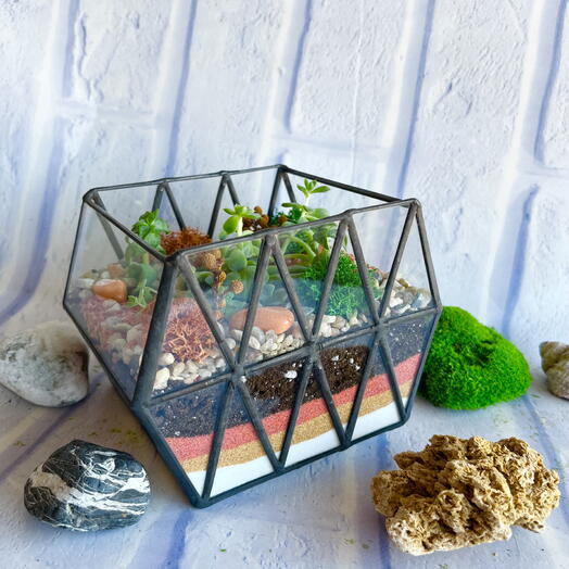 Композиция с суккулентами подарок девушке