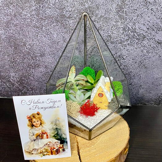 Флорариум новогодний «Капля» подарок