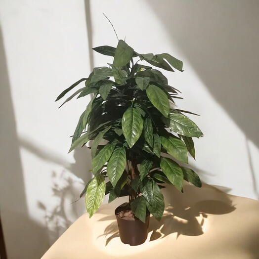 Растение искусственное