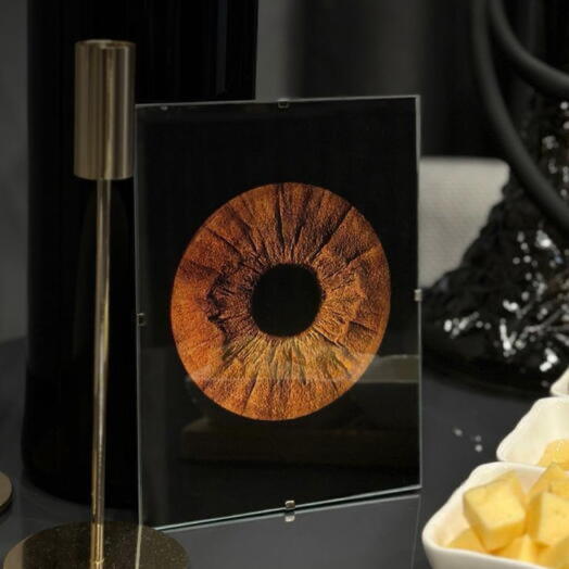 Одиночная фотосессия радужки глаза А5 в стекле