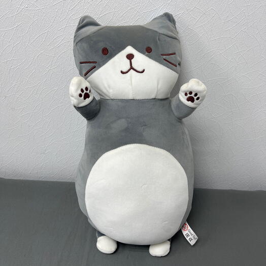 Котик