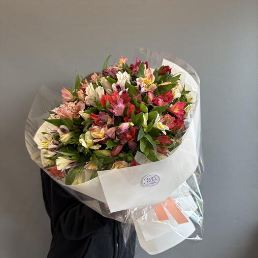 25 альстрамерии