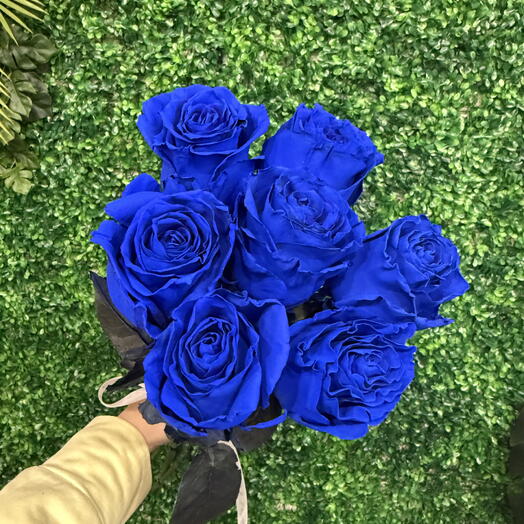 Синие розы 7 штук под ленту 💙😍