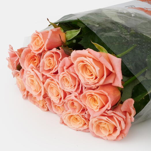 Пачка роз (15 штук) Мисс Пигги, 50 см