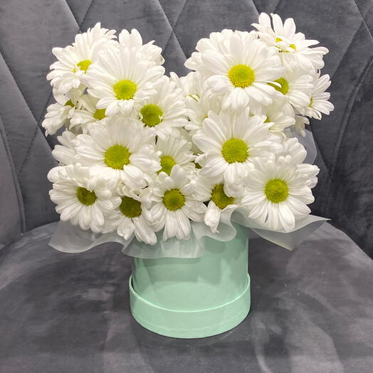 Ромашковый боксик