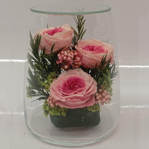 Натуральные цкустовые пионы, вакуум (RF2.5550db)