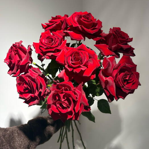 Моно букет из французских красных роз 9 шт под ленту