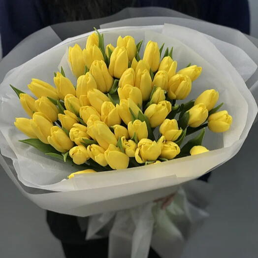 Тюльпан 51шт желтые