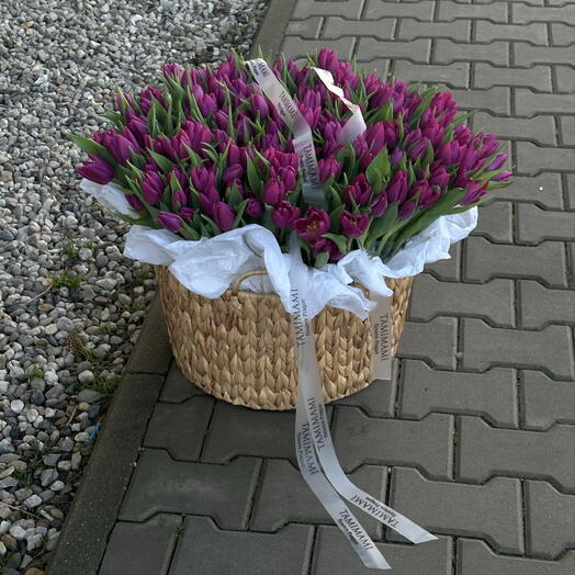 201 tulipanów