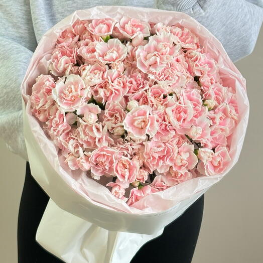 25 кустовых диантусов
