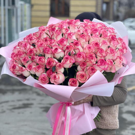 151 Jumilia roses
